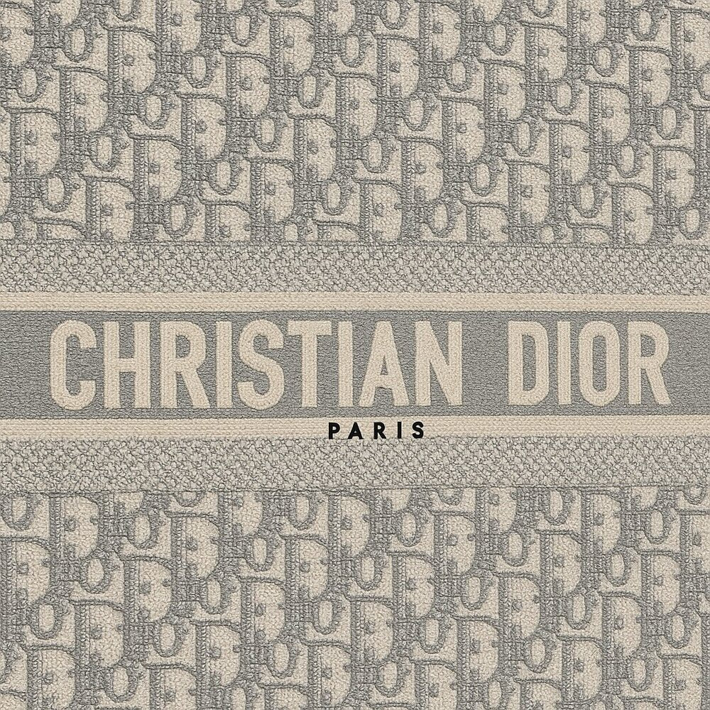 Dior Book Tote